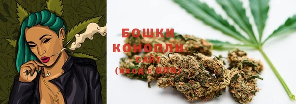 индика Гусиноозёрск