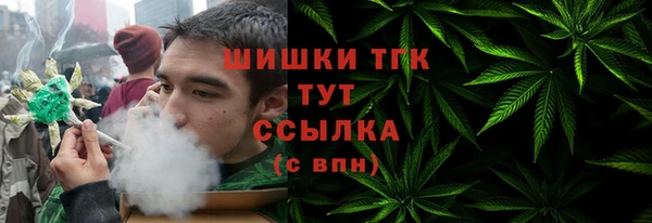 индика Гусиноозёрск