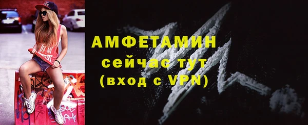 сатива Горняк