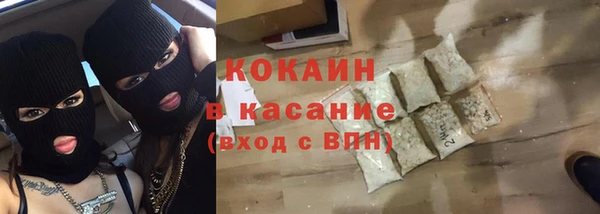 сатива Горняк