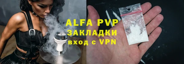 индика Гусиноозёрск