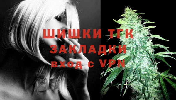 индика Гусиноозёрск