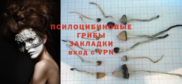 дмт Гусев