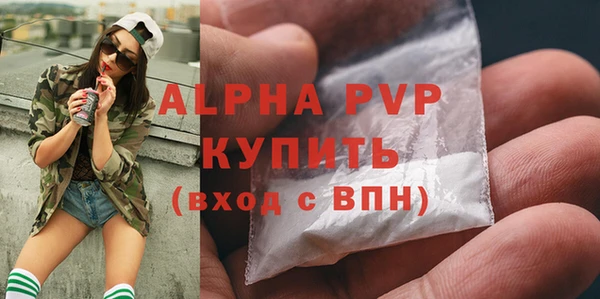 сатива Горняк
