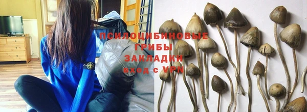 прущие крисы Гусь-Хрустальный