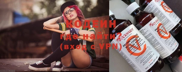 дмт Гусев